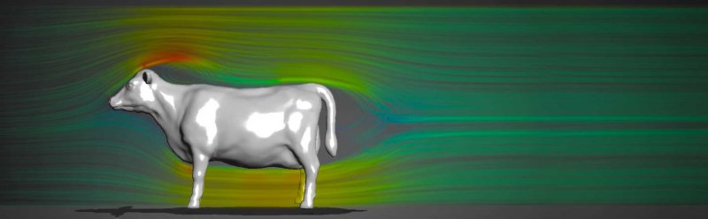 Optimal Ph.D. workflow as demonstrated by an aerodynamic cow
