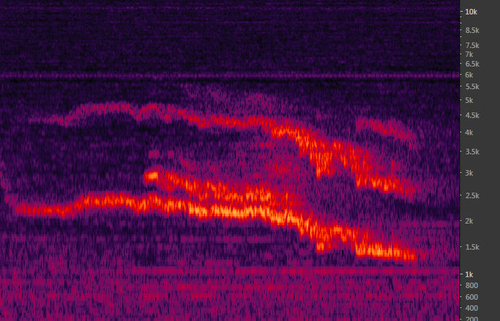 Falling bomb sound spectral display