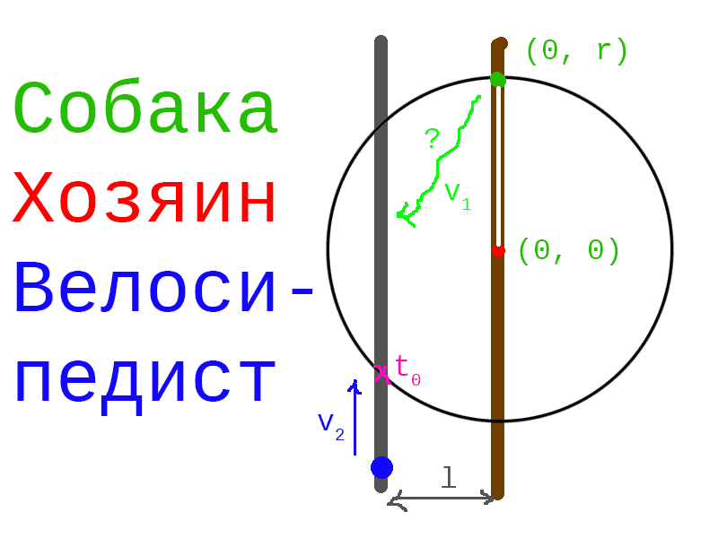 Что делать, если в майские праздники укусила собака?